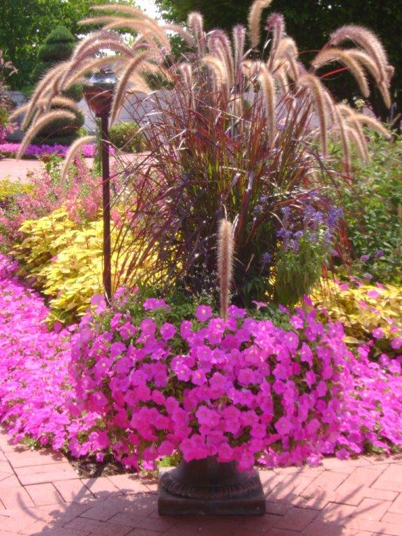 Landscaping Maintenance by Rost Lanscaping