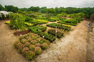 Superior Garden Center Distribution Lot