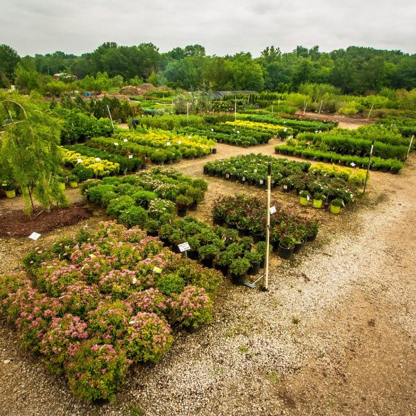 Superior Garden Center Distribution Lot
