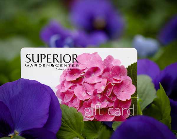 Rost Landscaping gift card among flowers