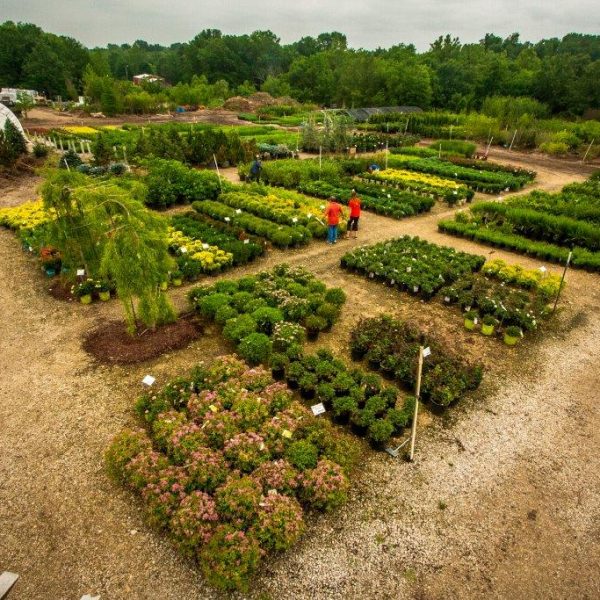 Superior Garden Center Distribution Lot