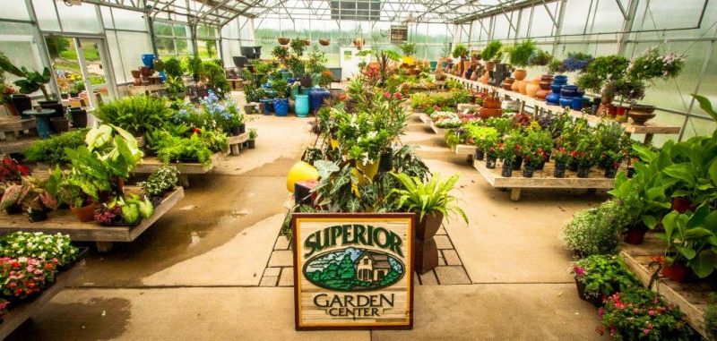 Nursery and Garden Center | Superior Garden Center Columbia, MO