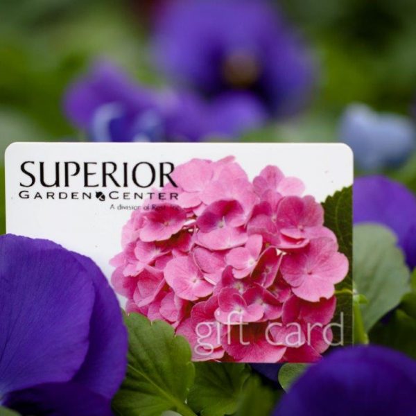 Superior Garden Center logo with purple and pink flowers.