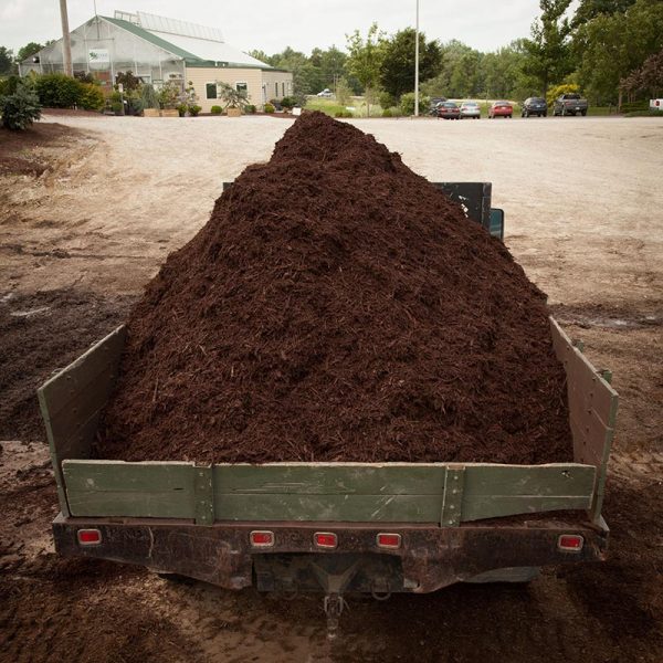Brown Mulch loaded into a wheel barrel