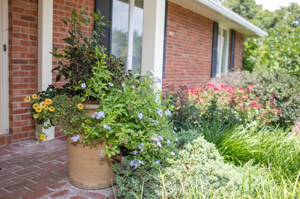 large planter overflowing with greenery and flowers on a porch with shrubs and ornamental grass in background