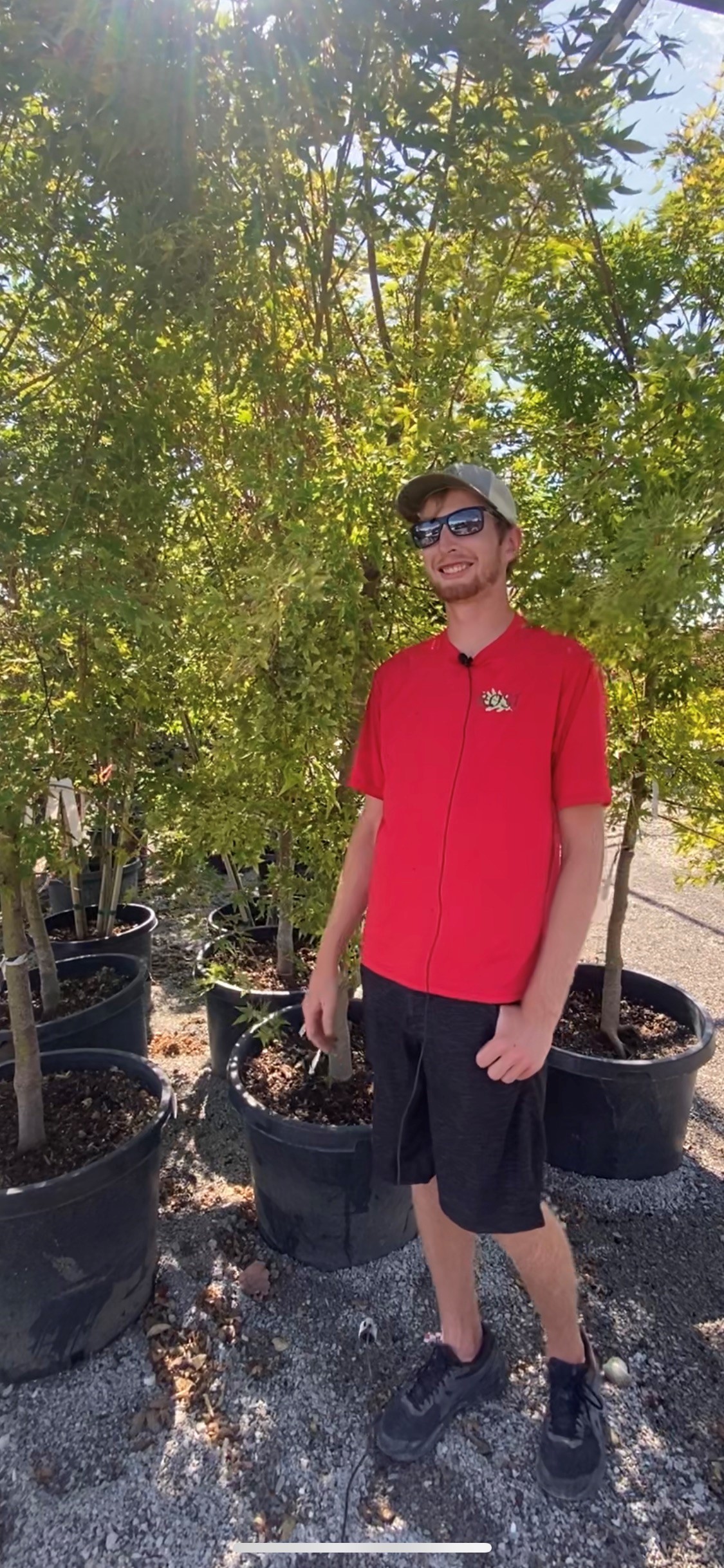 smiling man with red rost landscaping shirt standing in front of young trees in black containers