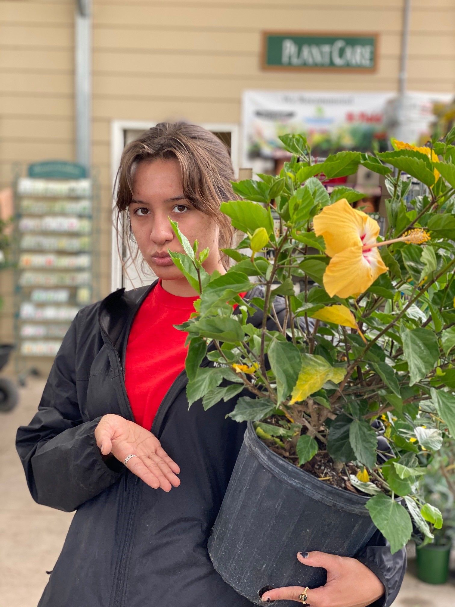 woman with a red shirt and black jacket carrying a yellow hibiscus in a black pot at garden center