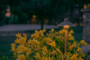 small outdoor light illuminating yellow flowers at night