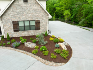 landscaping near a house surrounded by a concrete driveway