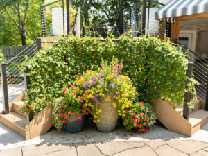 planters filled with colorful floweres near outdoor stairs with flowers growing up railing.