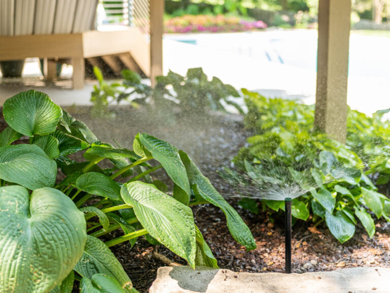green plants near a patio with a sprinkler system spraying on them