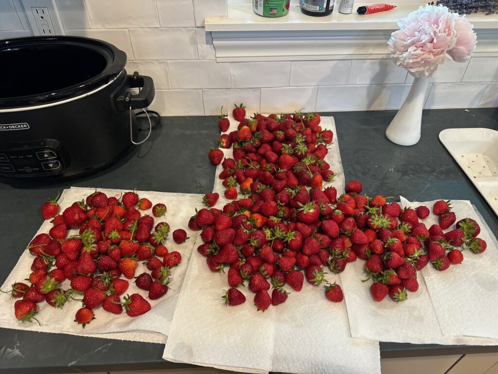 strawberries