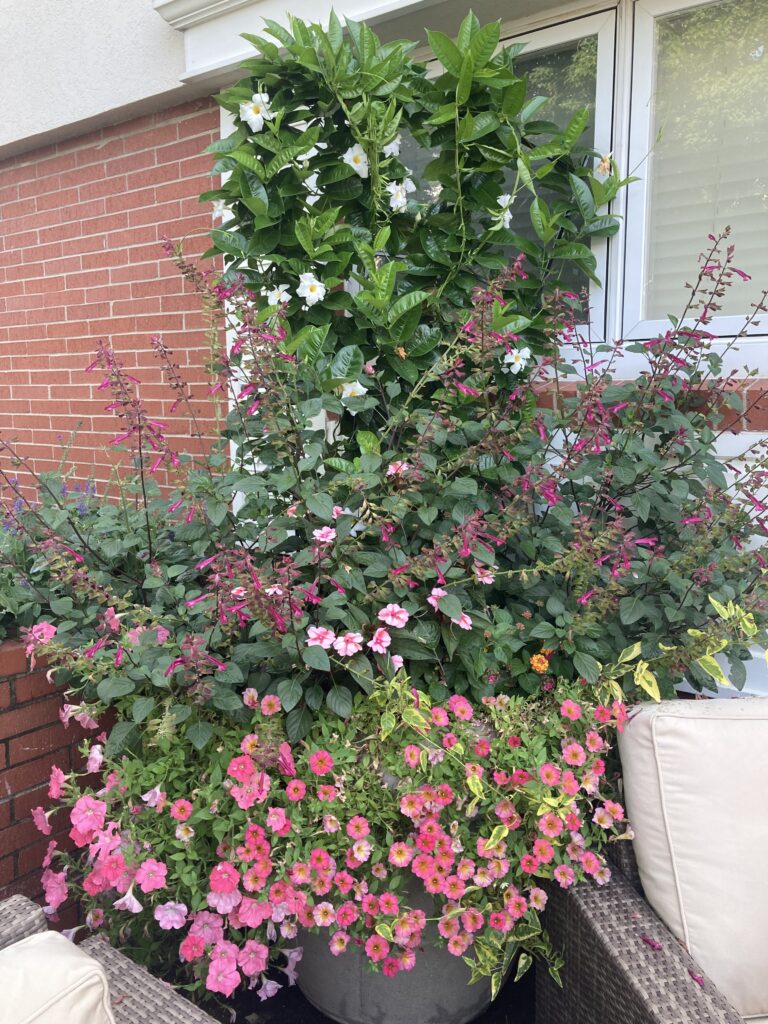 flat trellis