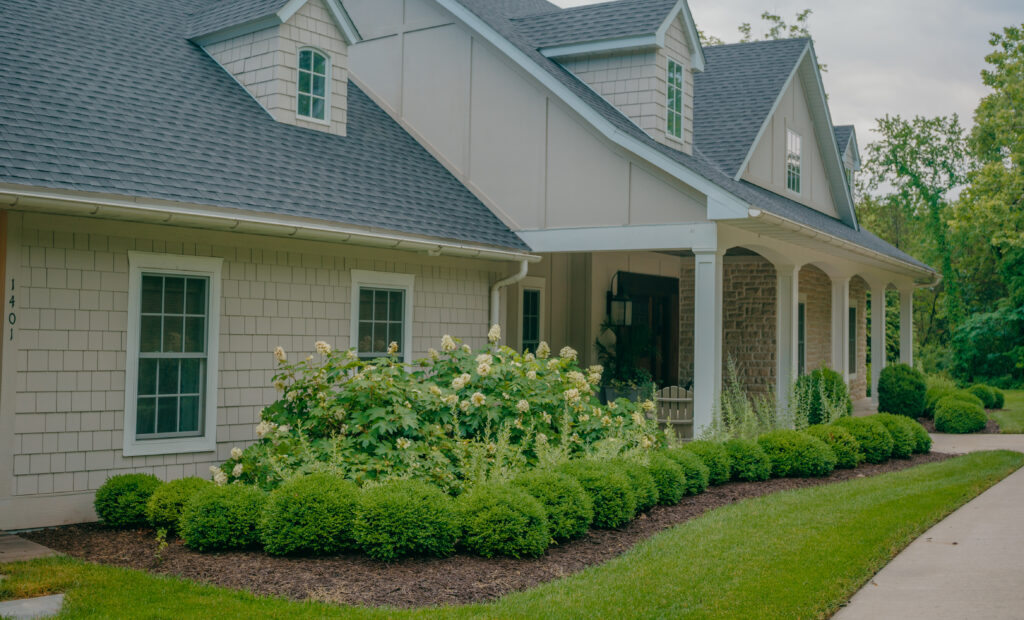 Hydrangea Type: Oak Leaf