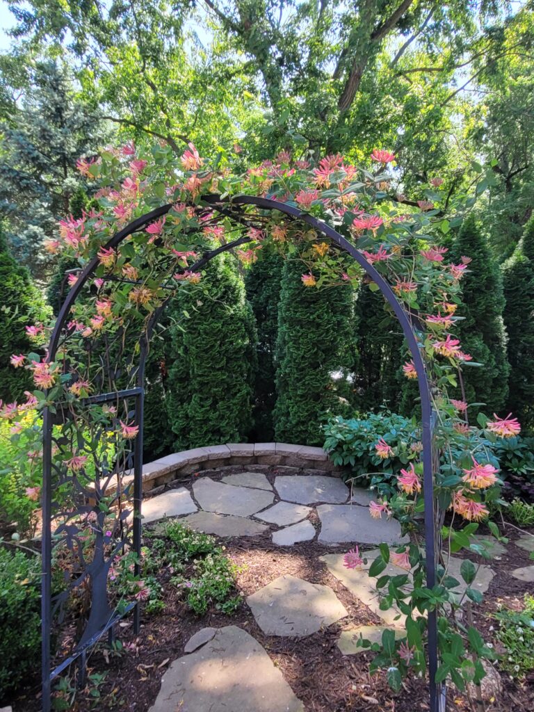 arched trellis