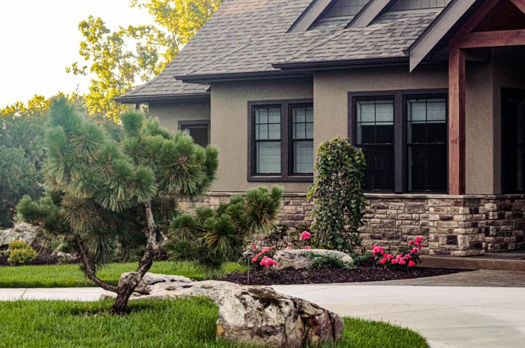 Landscape with Specimen Plant